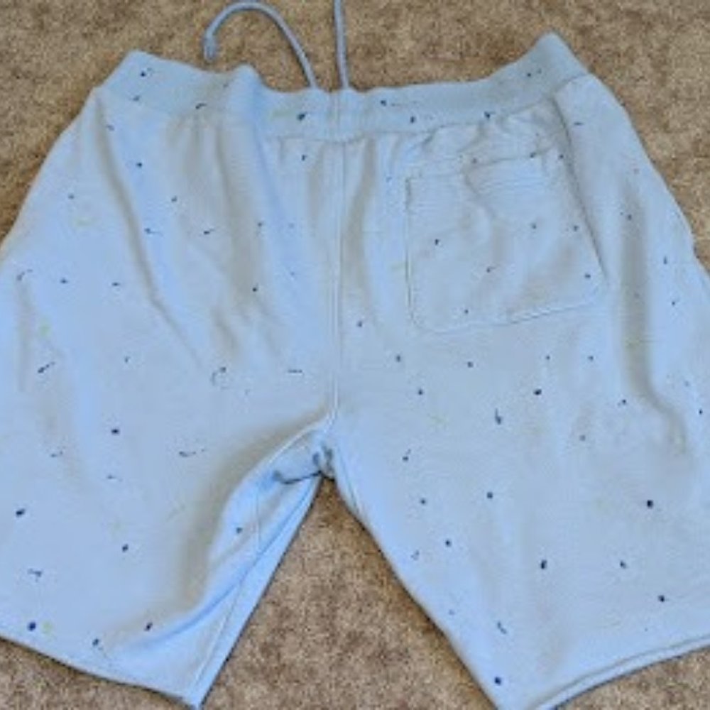 Champion Reverse Weave Paint Splatter Shorts
